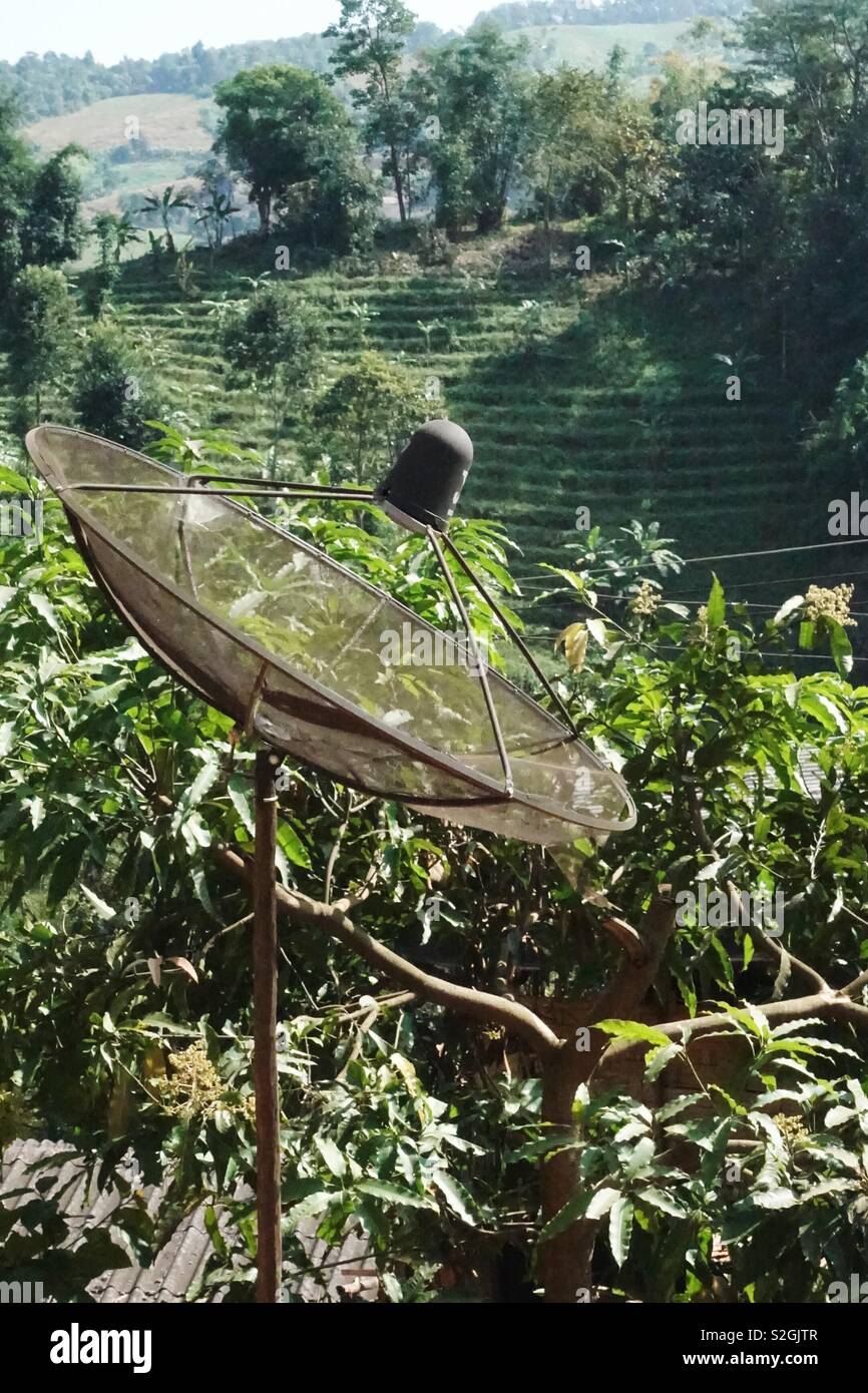 Old satellite dish surrounded by trees and bushes Stock Photo Alamy