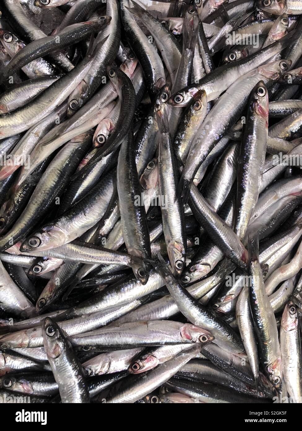 Lots of anchovies on sale in a supermarket Stock Photo Alamy