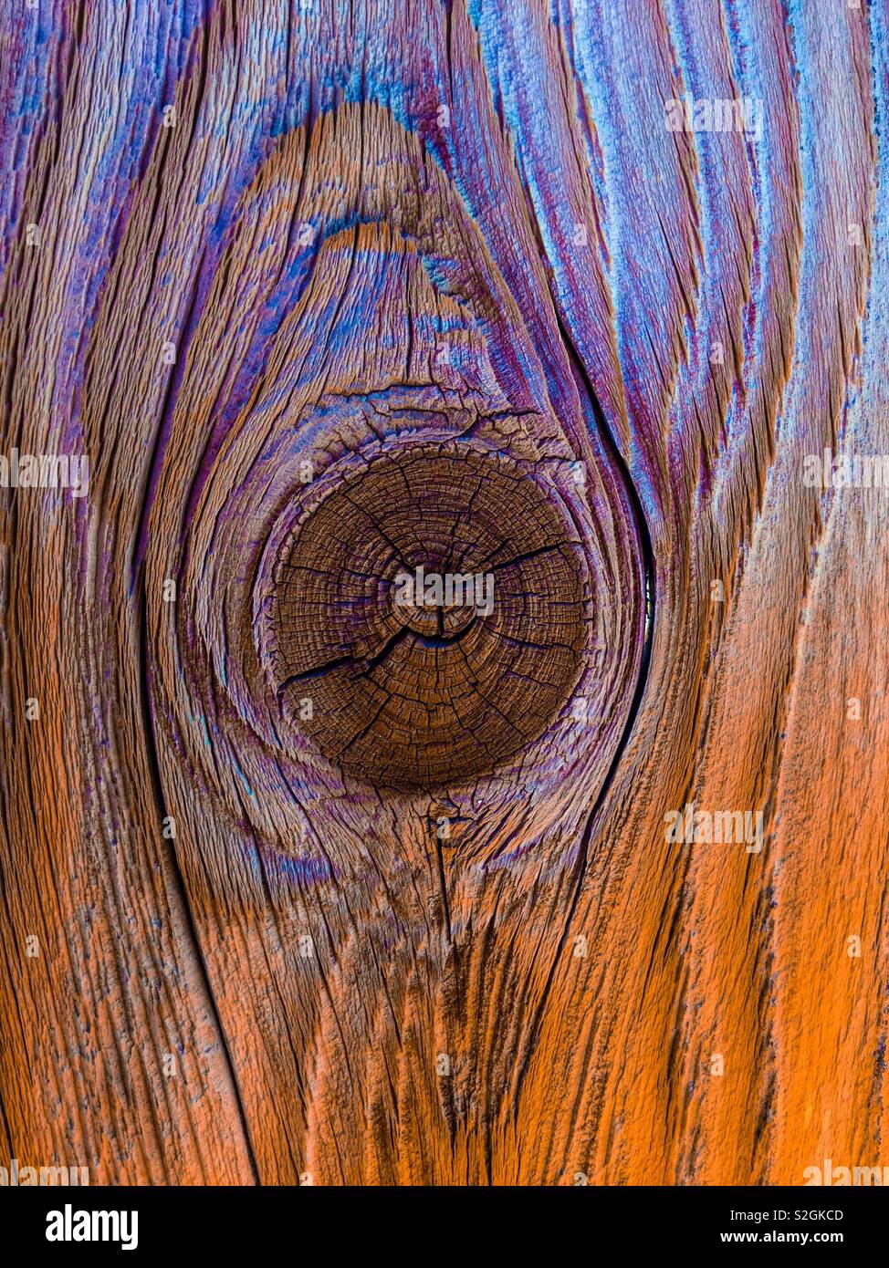 Stained wood with knot in center. Stock Photo