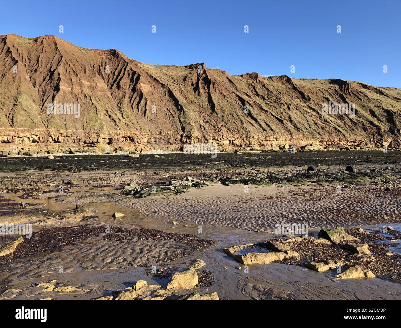 Boulder clay topped cliffs on the Carr Naze headland above Filey Brigg at low tide Stock Photo