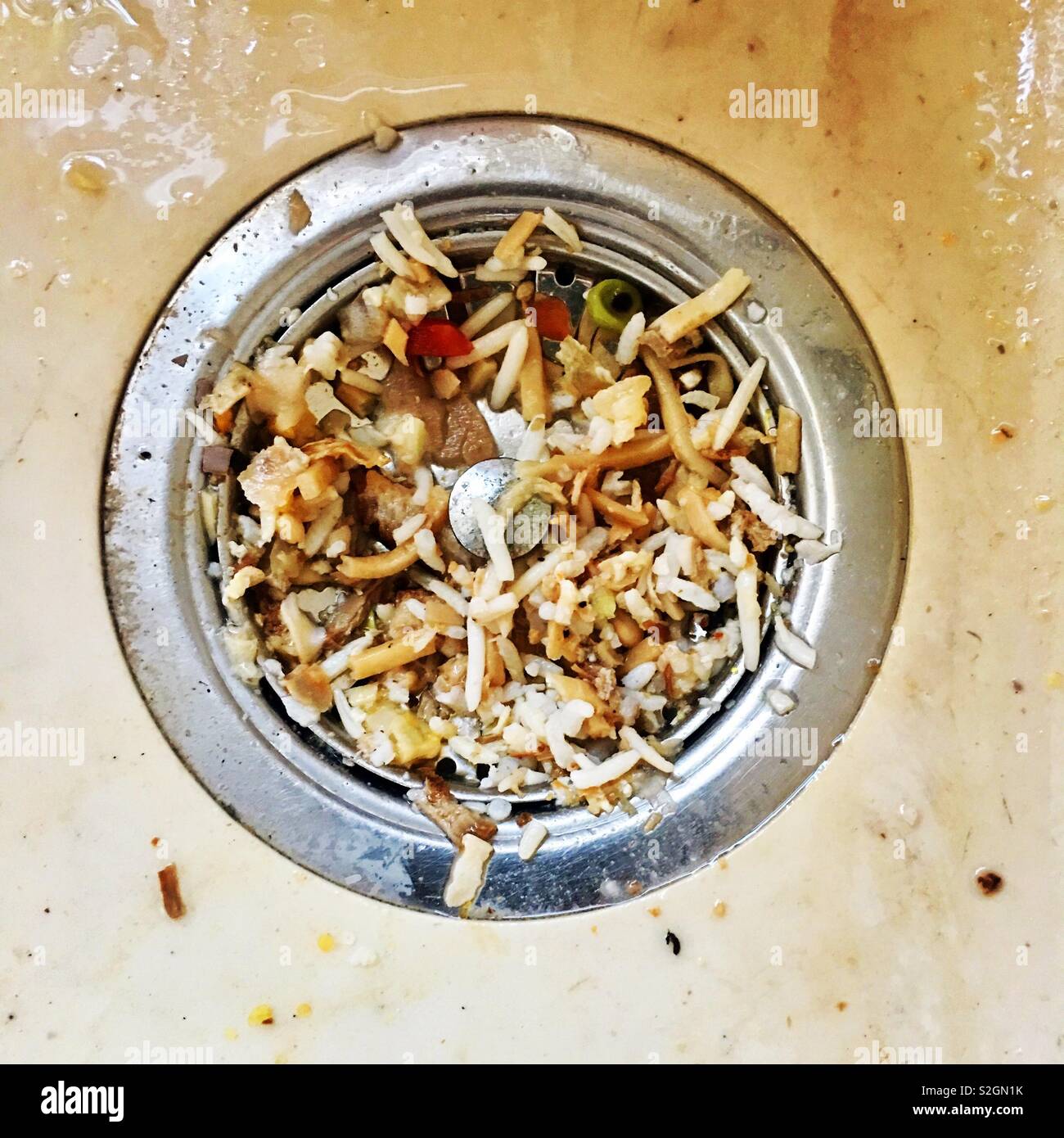 Collected food waste in sink plug Stock Photo - Alamy