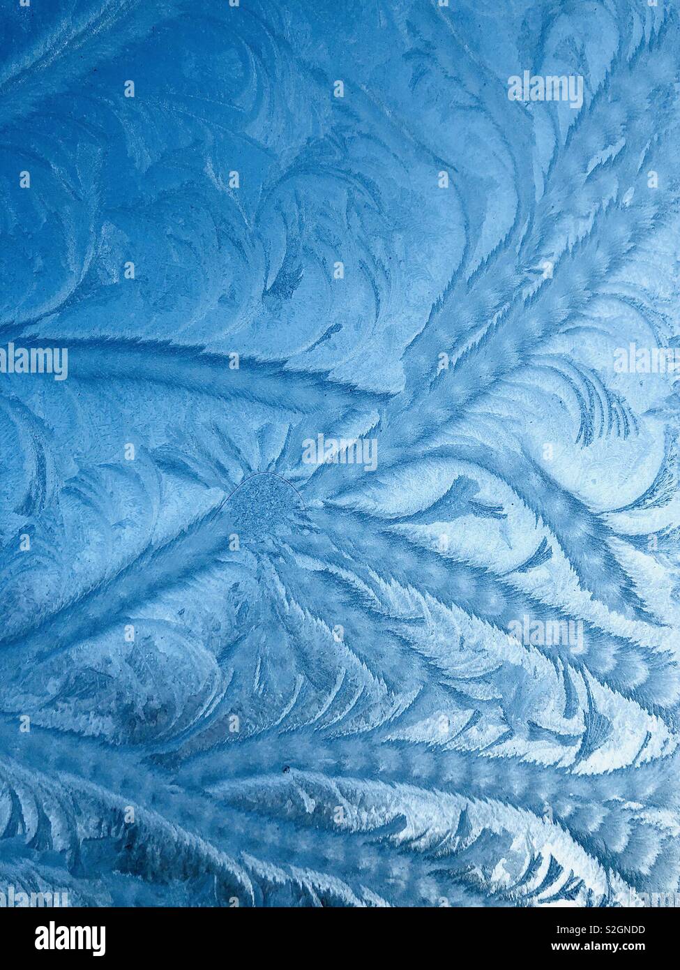 Frosty patterns on glass Stock Photo