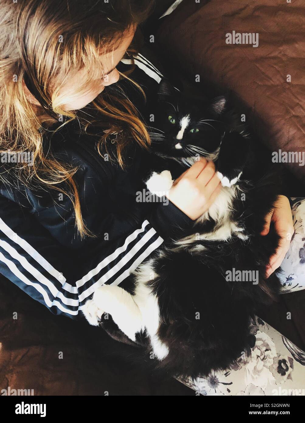 Pet cat cuddling in girl’s arms - Smartphone Captured Stock Image
