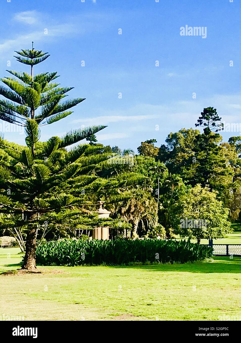 Stunning botanical gardens in Sydney, Australia, NSW Stock Photo