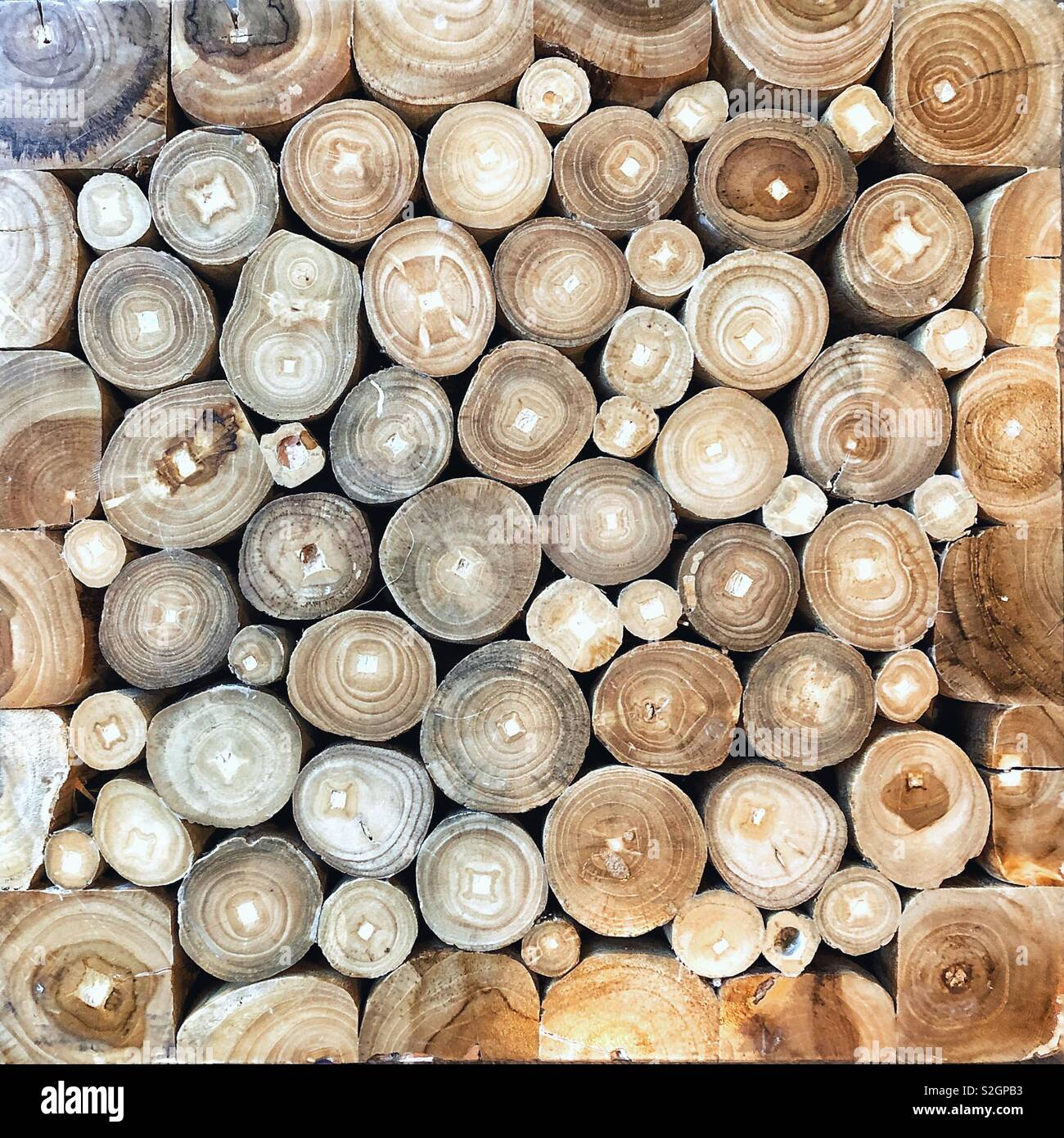 Table top made from cut branches - Smartphone Captured Stock Image