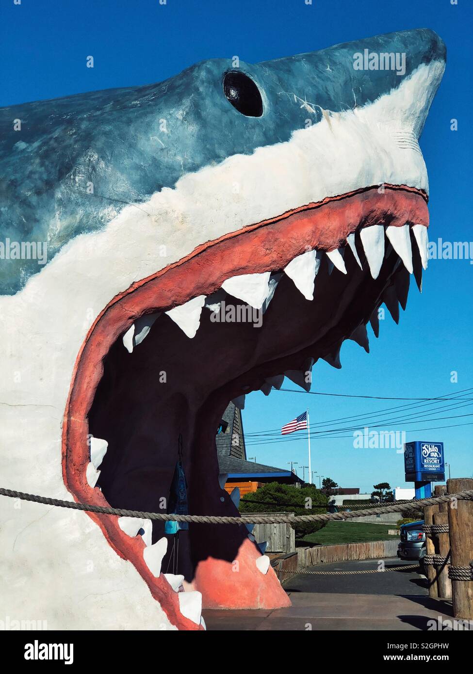 Entrance to gift store shaped as giant open Shark head full of teeth in Ocean Shores, WA - Smartphone Captured Stock Image