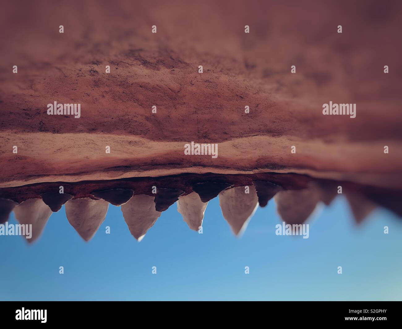 Entrance to gift store shaped as giant open Shark head full of teeth in Ocean Shores, WA - Smartphone Captured Stock Image