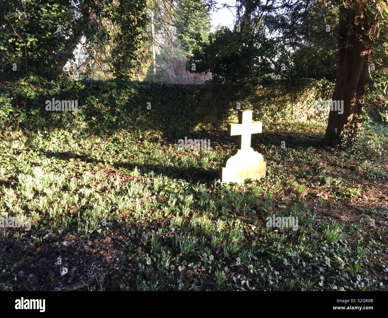 Winter sun touches the churchyard - Smartphone Captured Stock Image