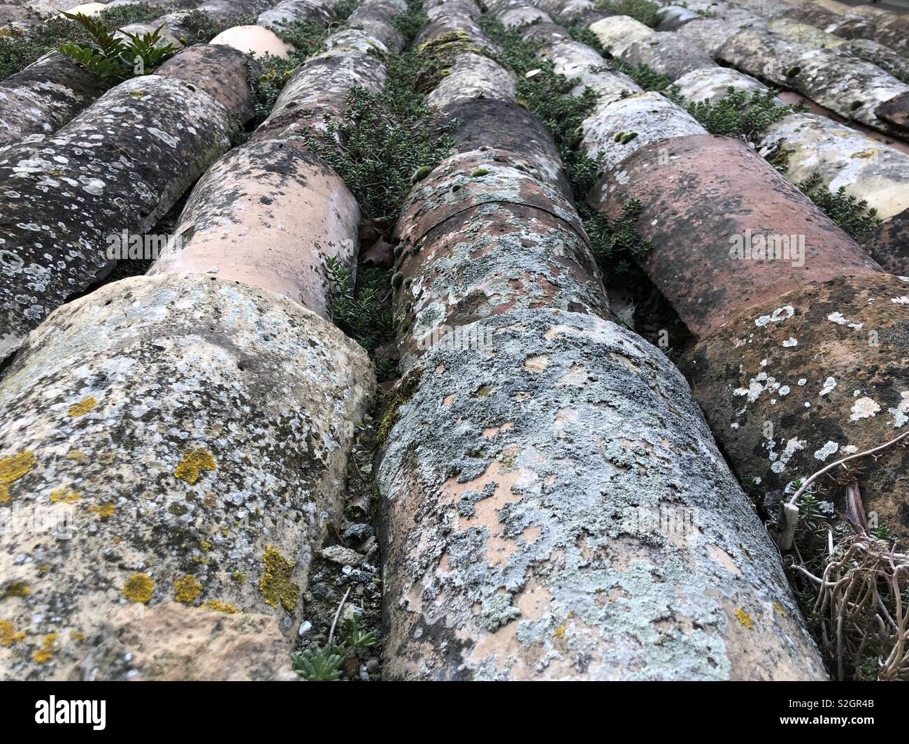 Italian Roof Tiles High Resolution Stock Photography And Images Alamy