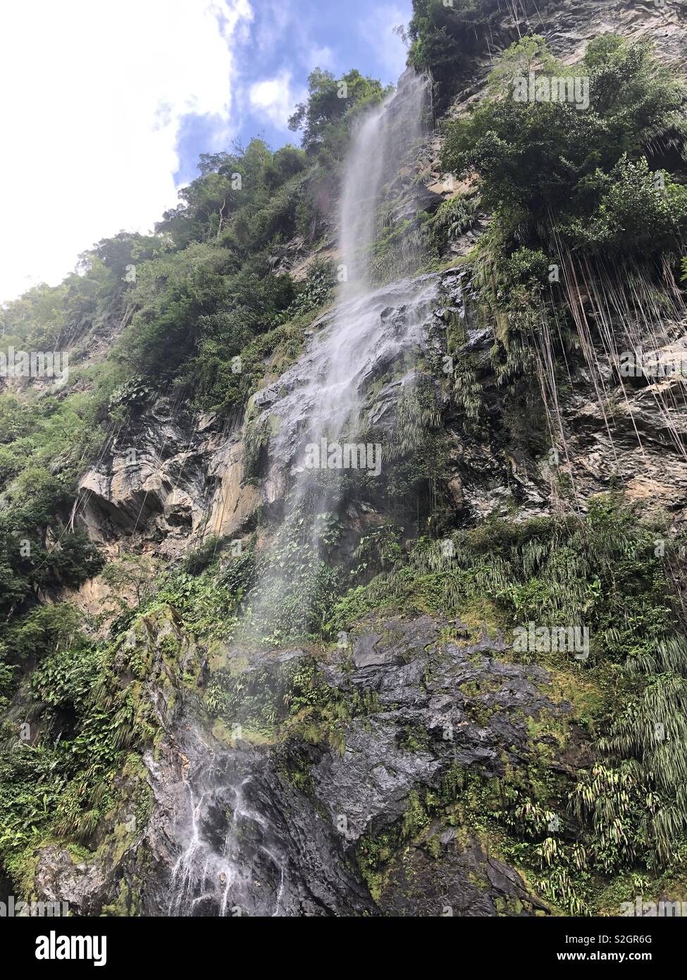 Maracas High Resolution Stock Photography and Images Alamy