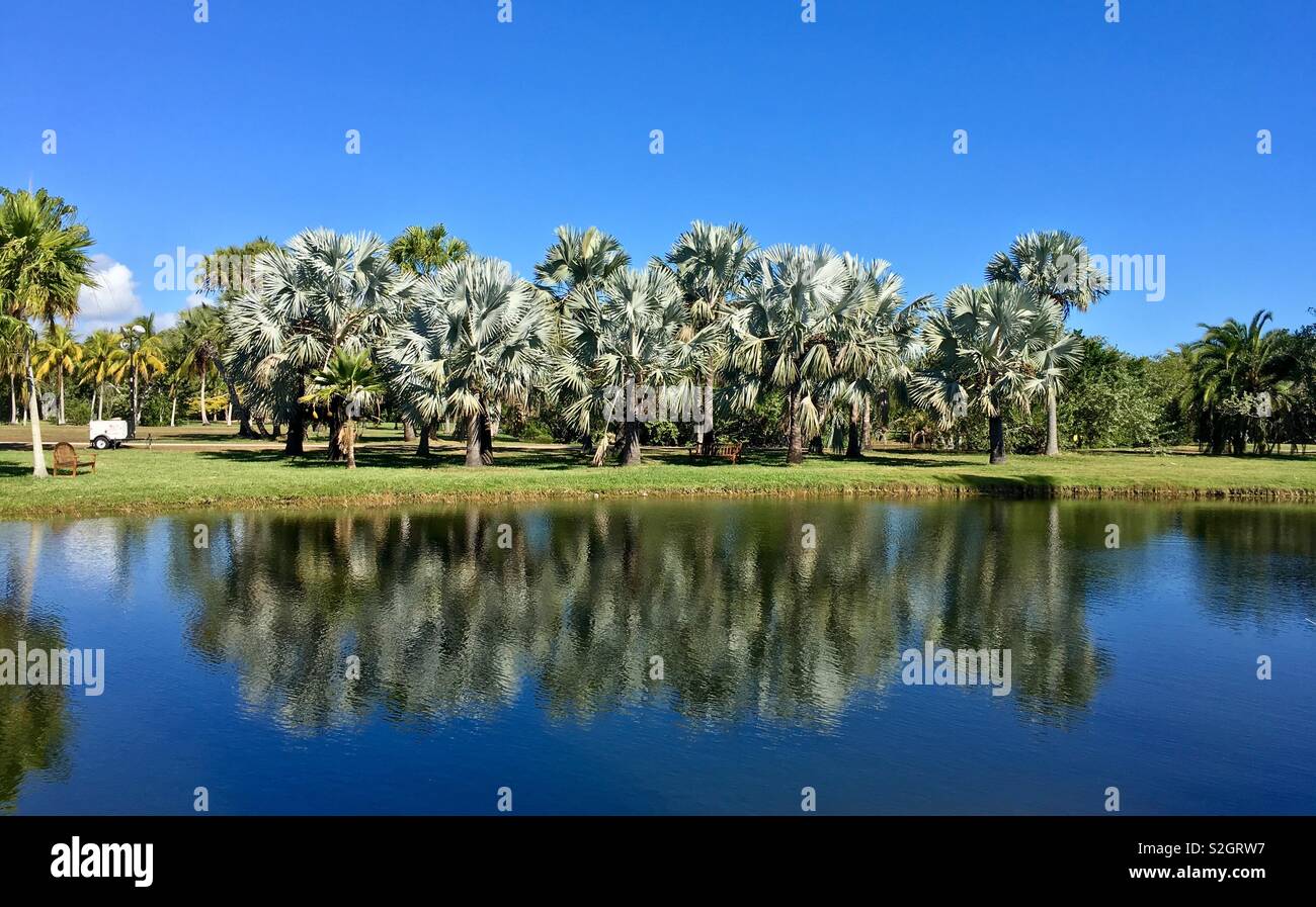Fairchild Tropical Botanical Garden, Coral Gables, Miami Dade, Florida, USA Stock Photo