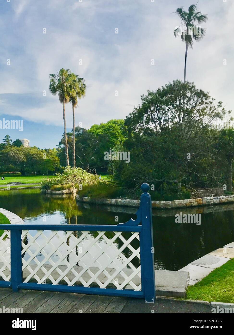 The stunning botanical gardens lake in Sydney, Australia Stock Photo