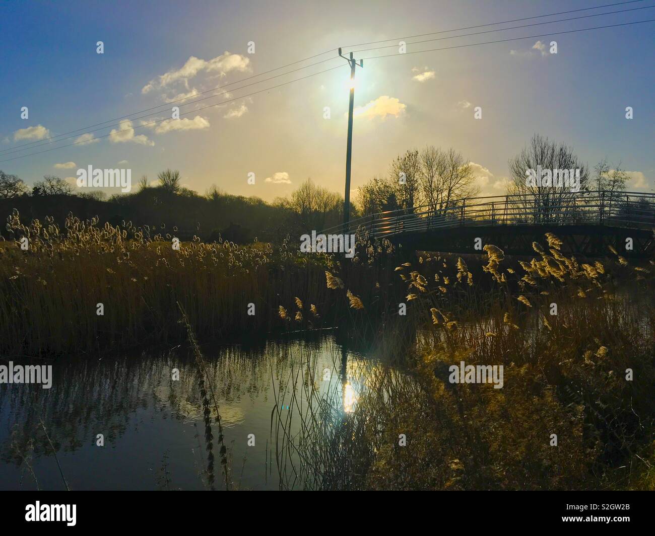 Winter sun - Smartphone Captured Stock Image