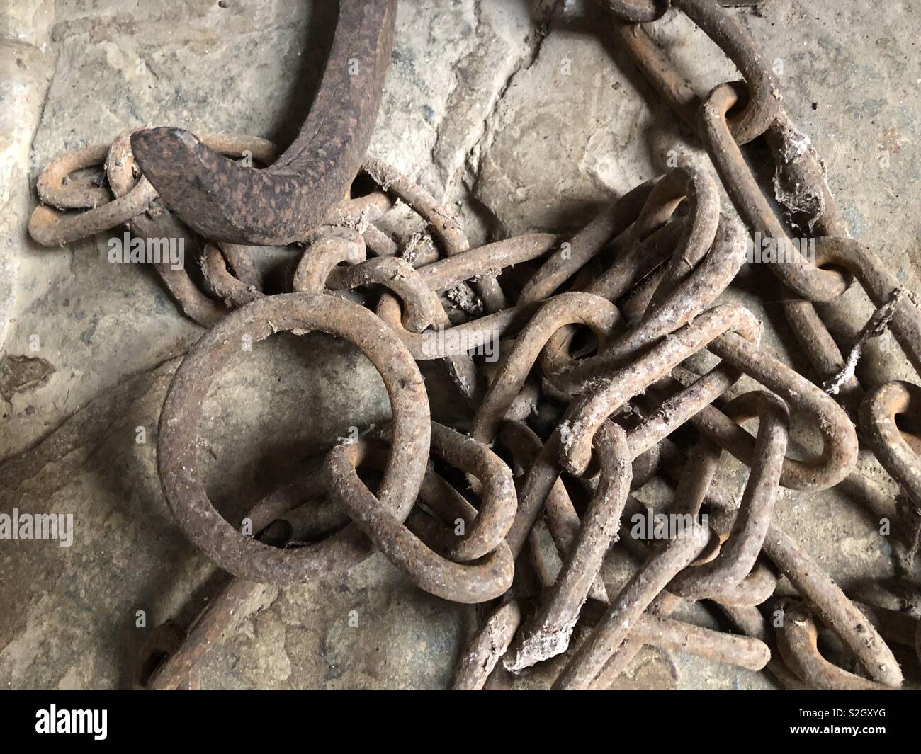 Wrangling hi-res stock photography and images - Alamy