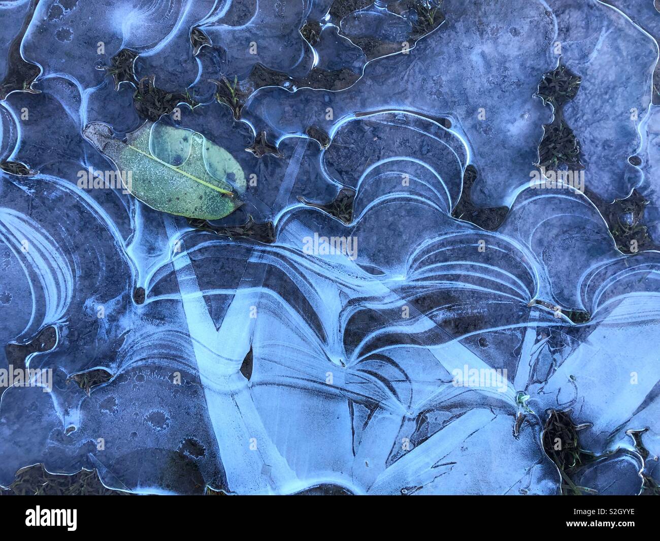 Ice patterns on a frozen puddle. - Smartphone Captured Stock Image