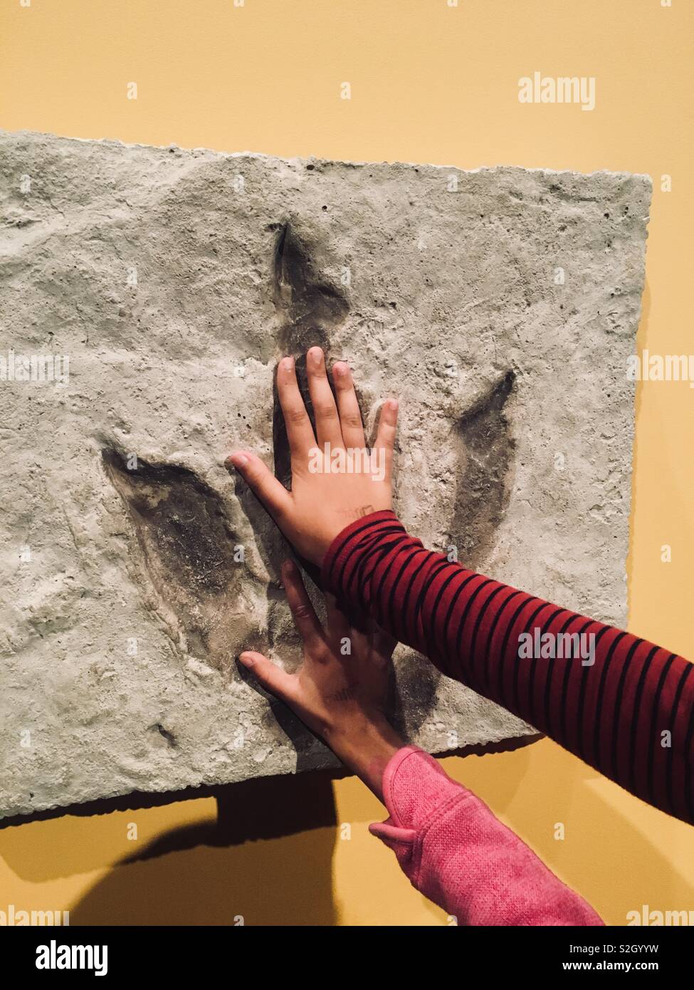 Girls comparing hands of dinosaur footprint Stock Photo