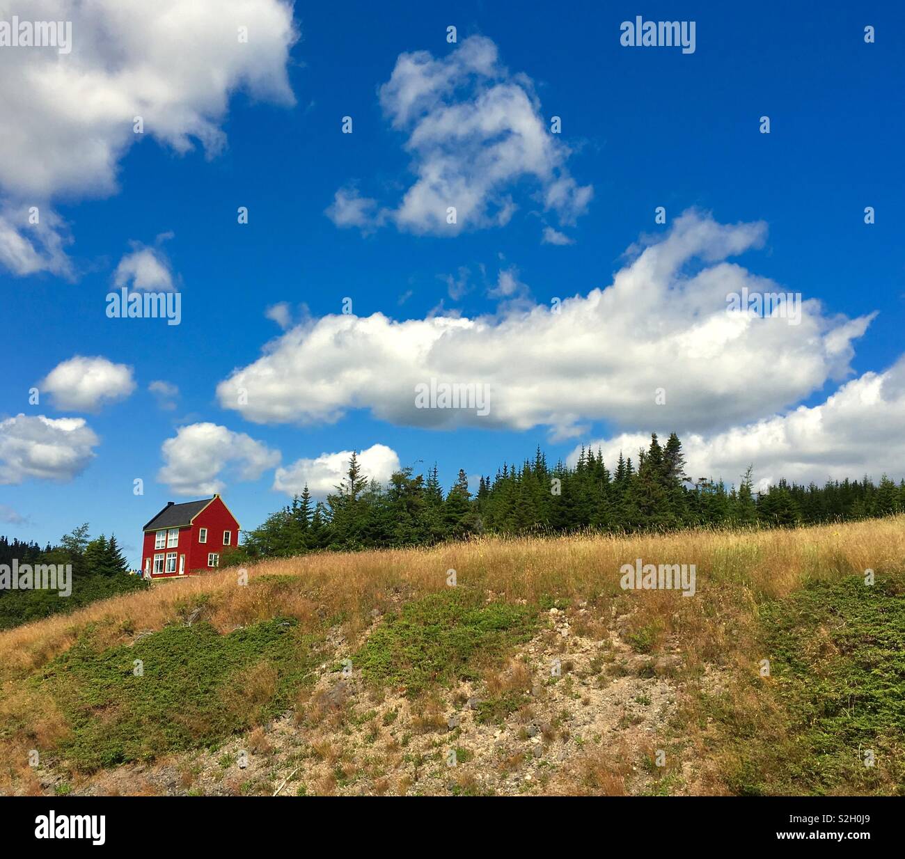 Red barn house on a hill in Newfoundland Canada - Smartphone Captured Stock Image