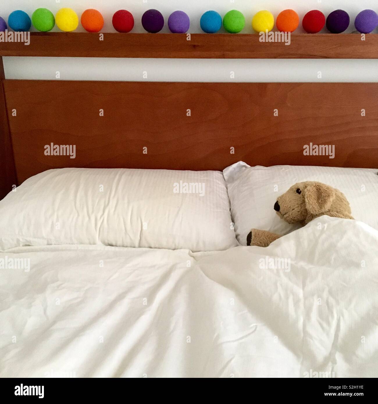 Puppy toy in bed with rainbow lights - Smartphone Captured Stock Image