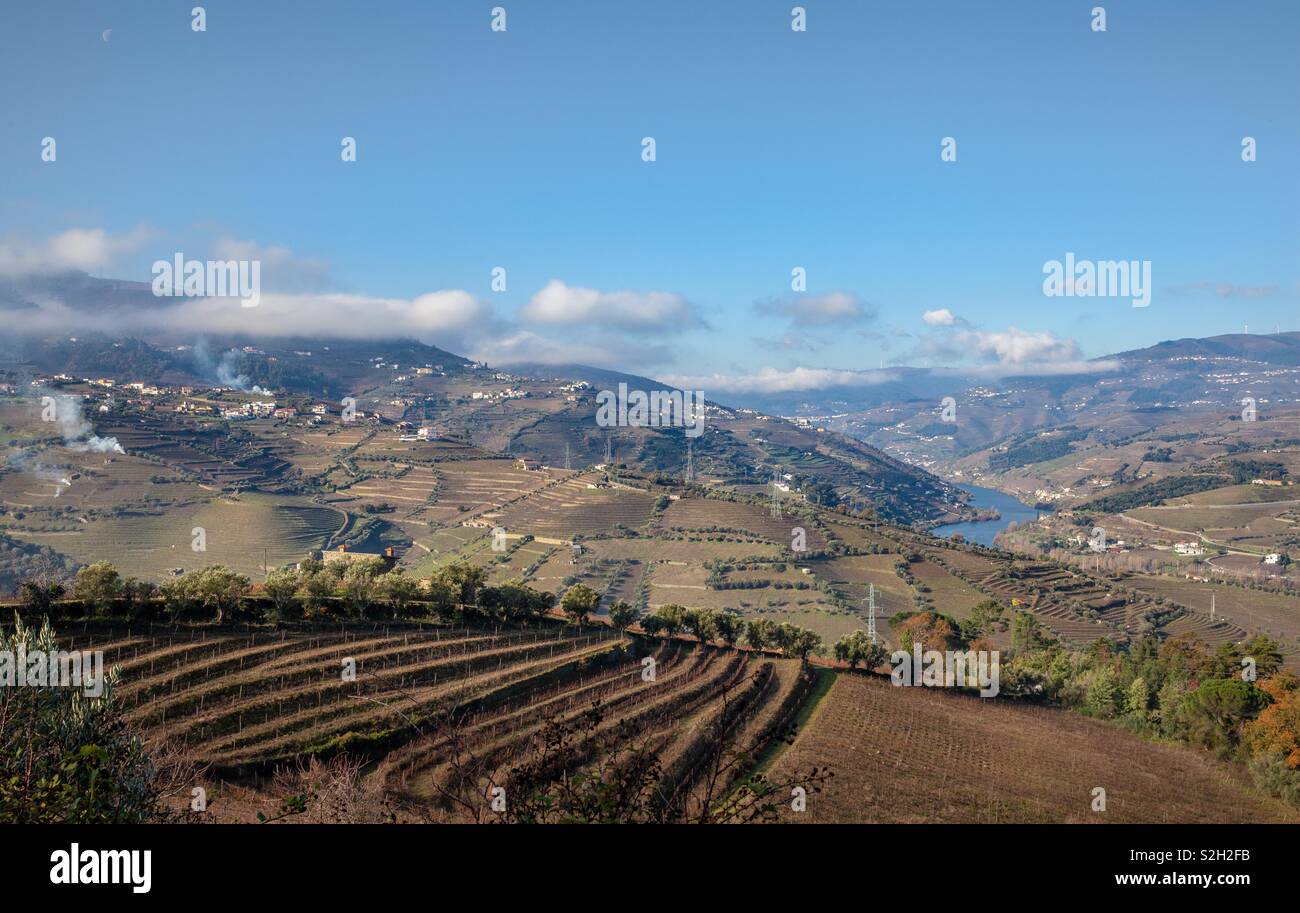Douro Valley Vineculture Stock Photo