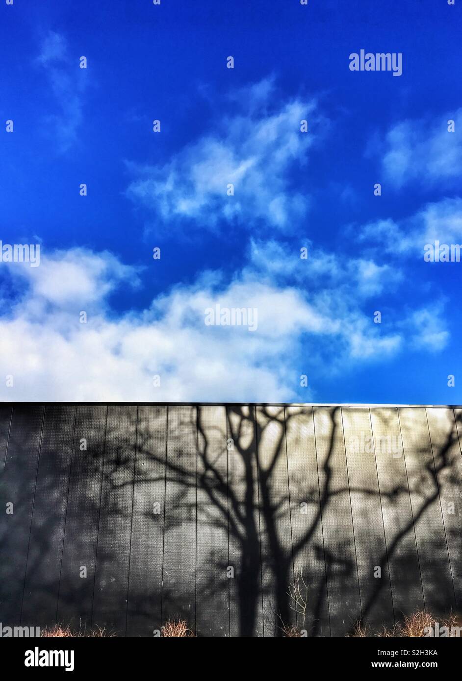 Shadow of tree on black wall against blue sky with white clouds - Smartphone Captured Stock Image