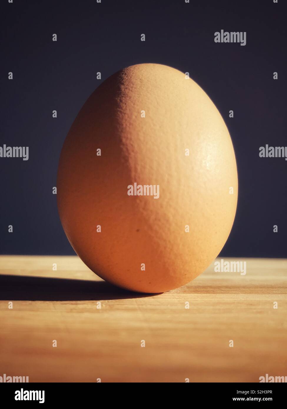 Farm fresh organic brown egg - Smartphone Captured Stock Image