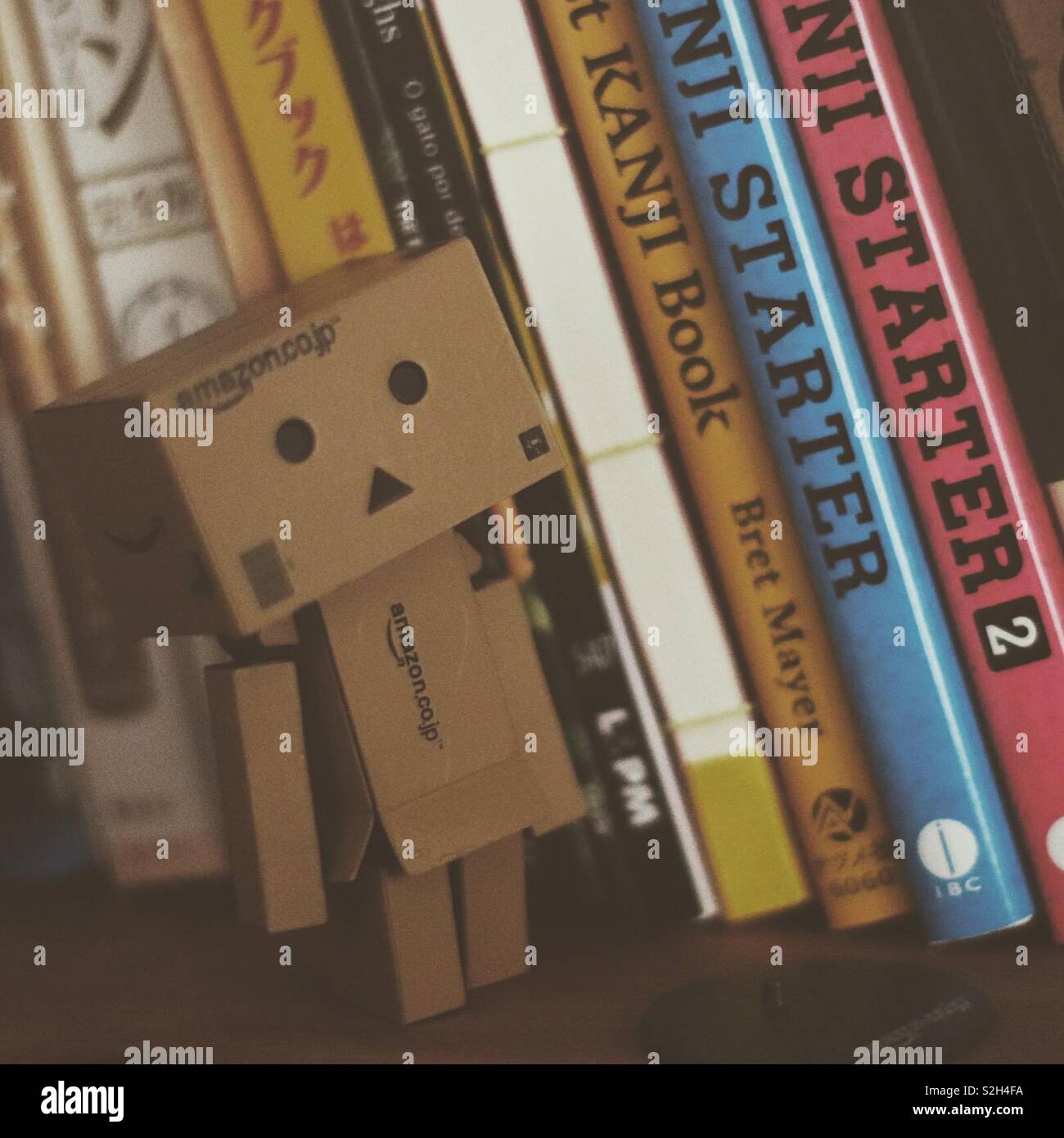 Danbo and Japanese books Stock Photo