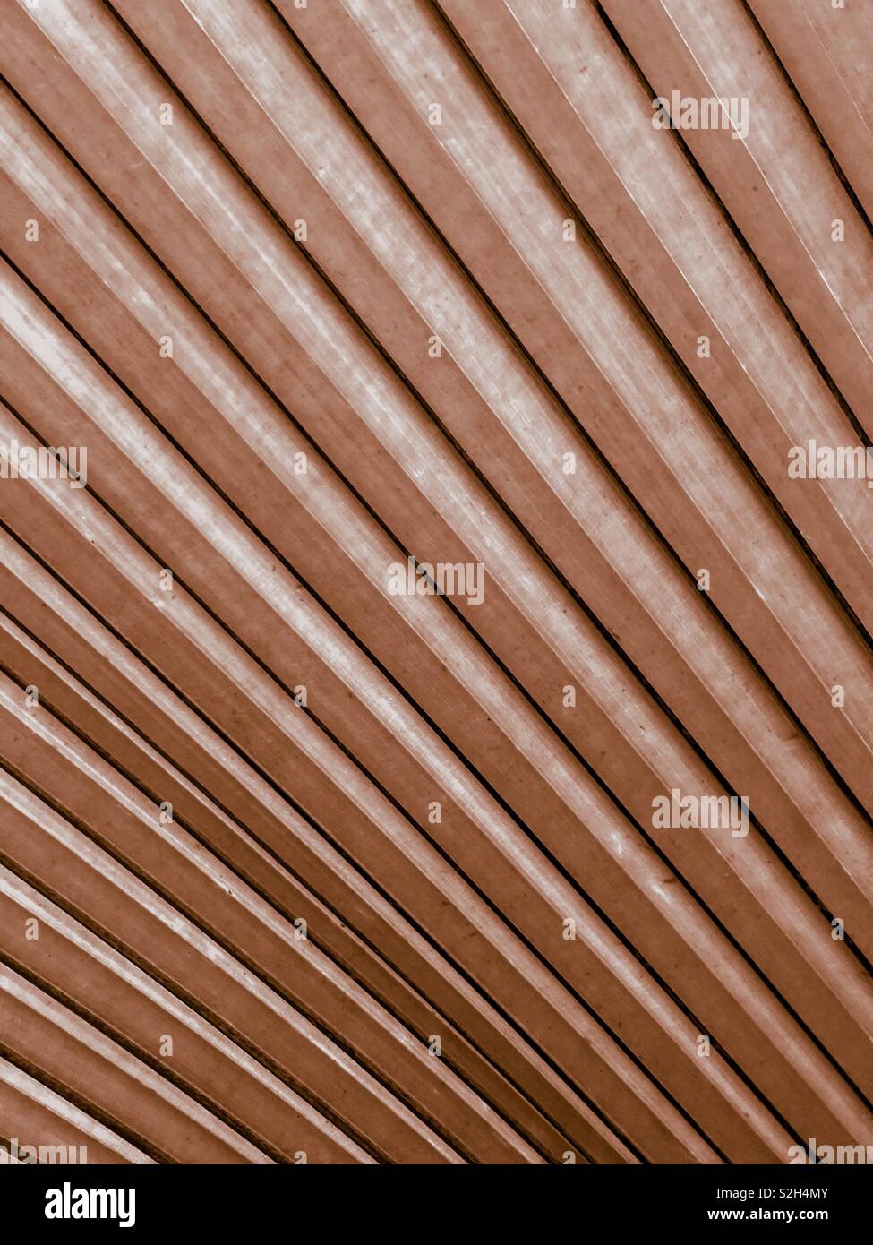 Pattern on back of leaf. - Smartphone Captured Stock Image