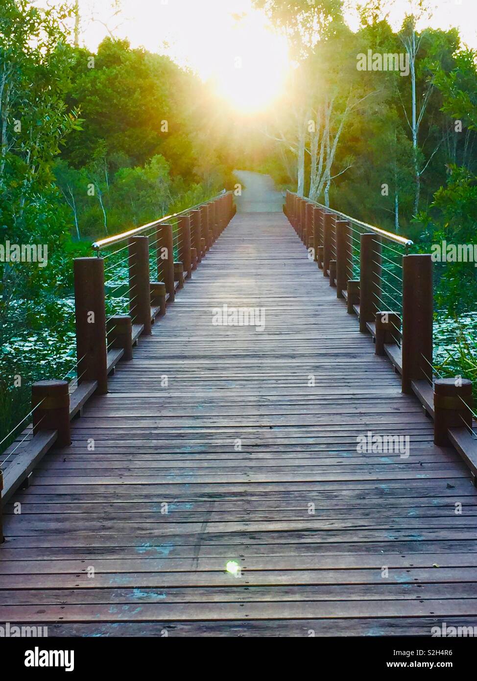 The view from this small bridge walkway over the lake shows the glowing sun. Stock Photo