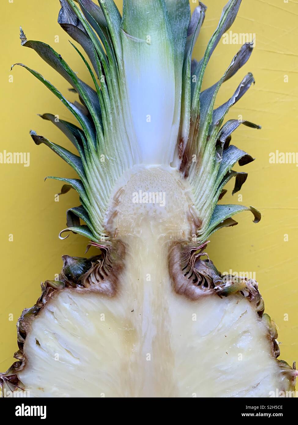 Fresh pineapple sliced in half on yellow background Stock Photo