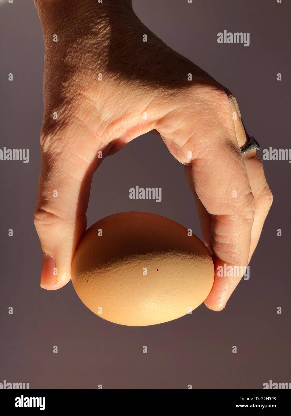 Egg in hand - Smartphone Captured Stock Image