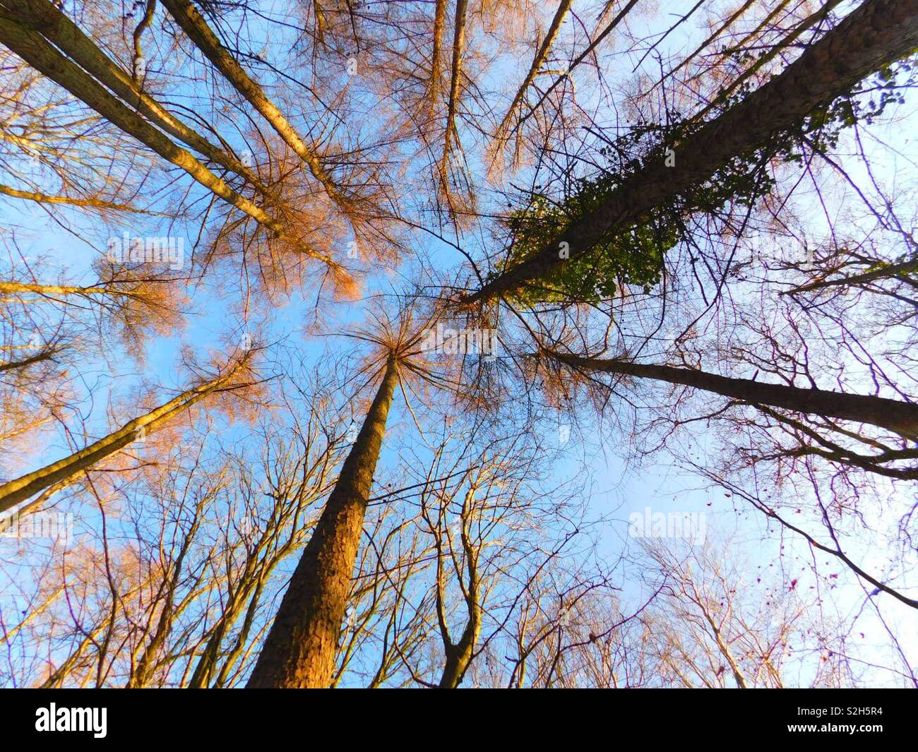Worms eye ground view hi-res stock photography and images - Alamy