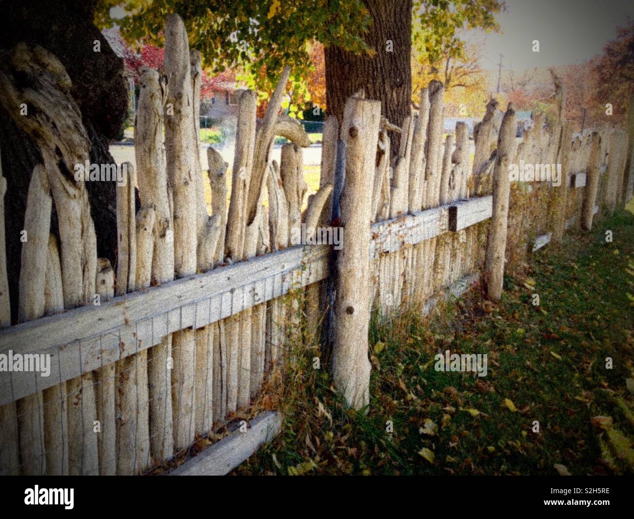 Driftwood fence on November Stock Photo