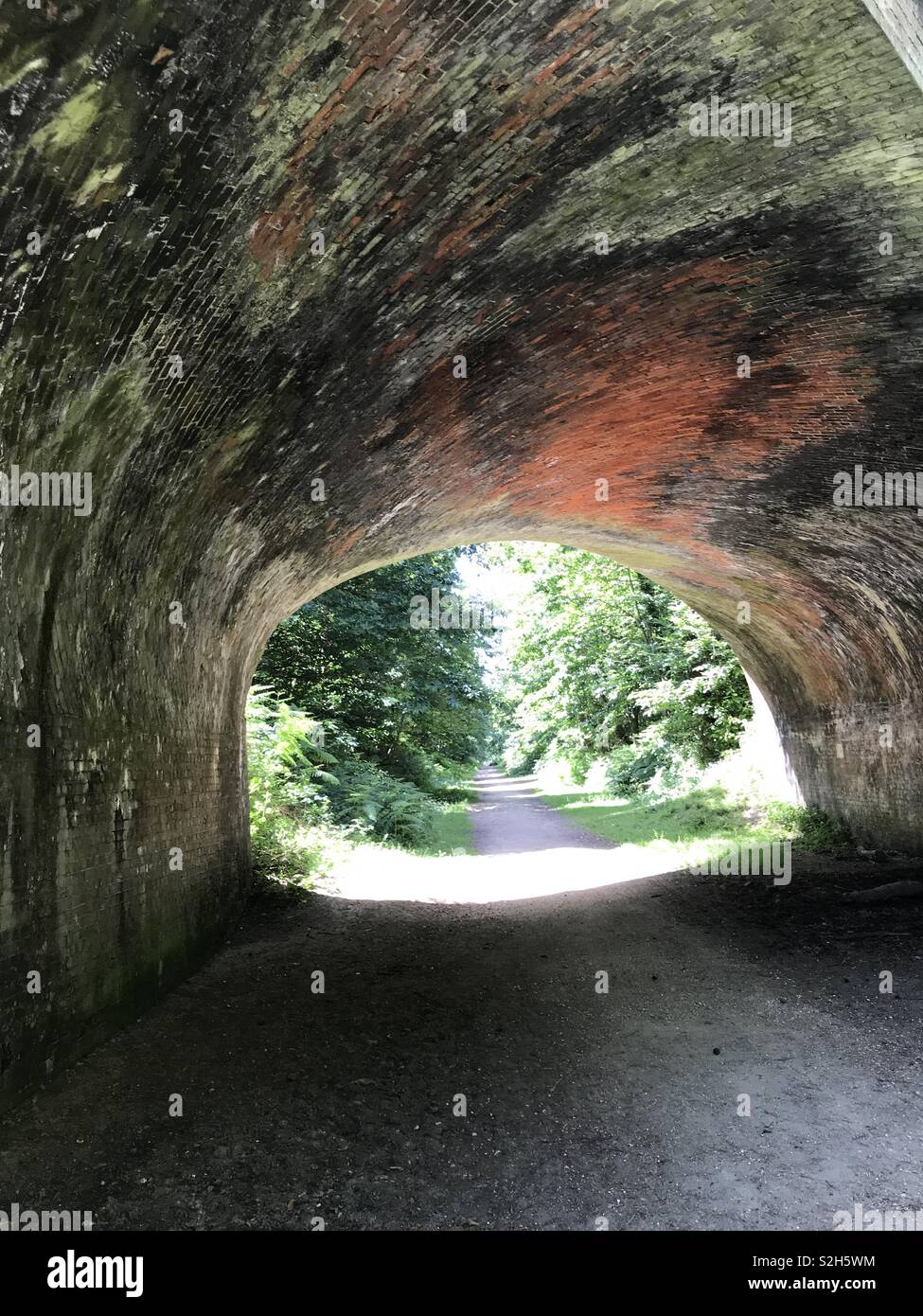 Old Railway Tunnel In The New Forest Uk Stock Photo Alamy Old Railway Tunnel In The New Forest Uk Stock Photo Alamy