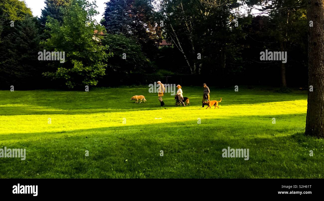 Outing in the park - Smartphone Captured Stock Image