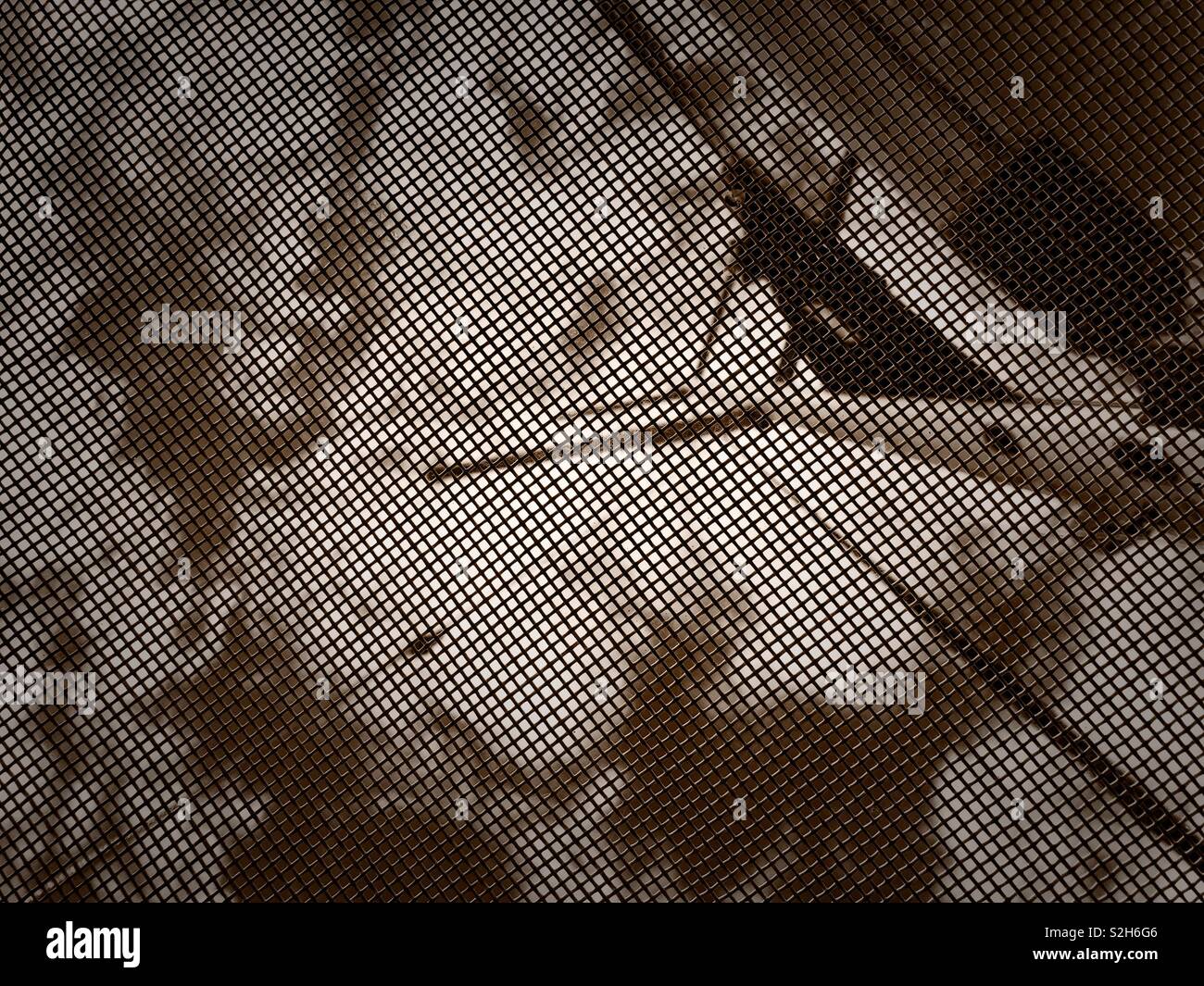 Looking up through the mess screen on the open window of a sailboat in Florida - Smartphone Captured Stock Image