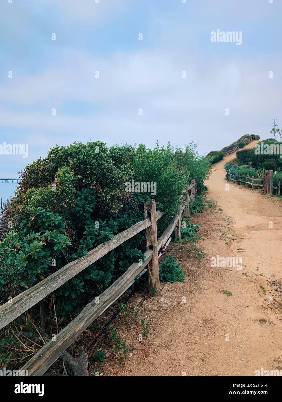 Dune walk along ocean near Santa Barbara California. - Smartphone Captured Stock Image