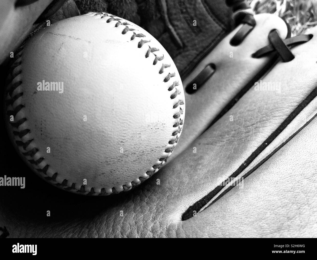 Baseball in a catcher’s glove - Smartphone Captured Stock Image
