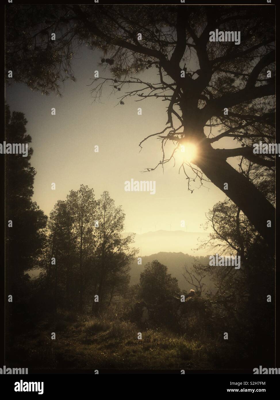 Early morning misty view of the mountains, Catalonia, Spain. - Smartphone Captured Stock Image