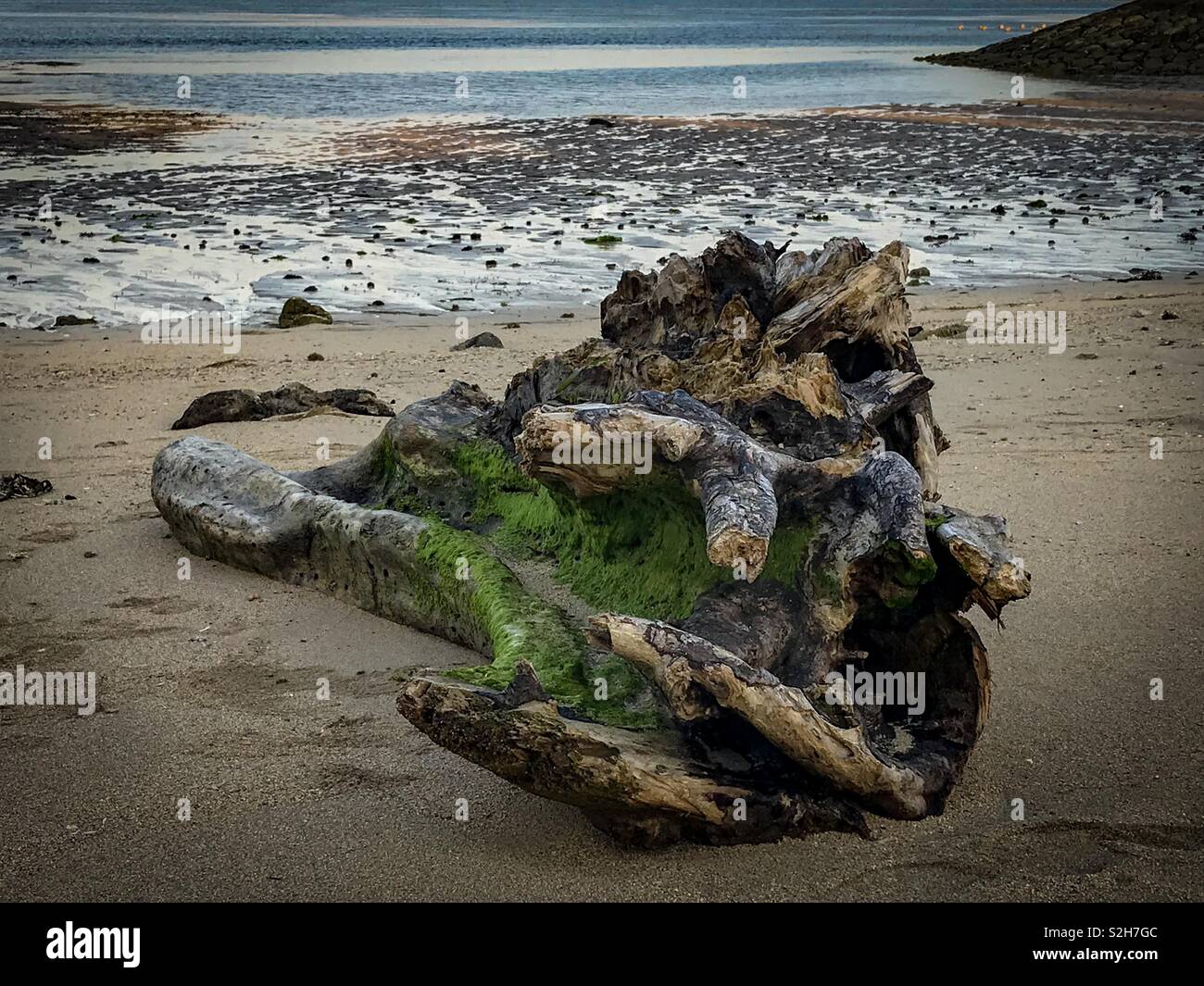 No longer drifting on the currents - Smartphone Captured Stock Image