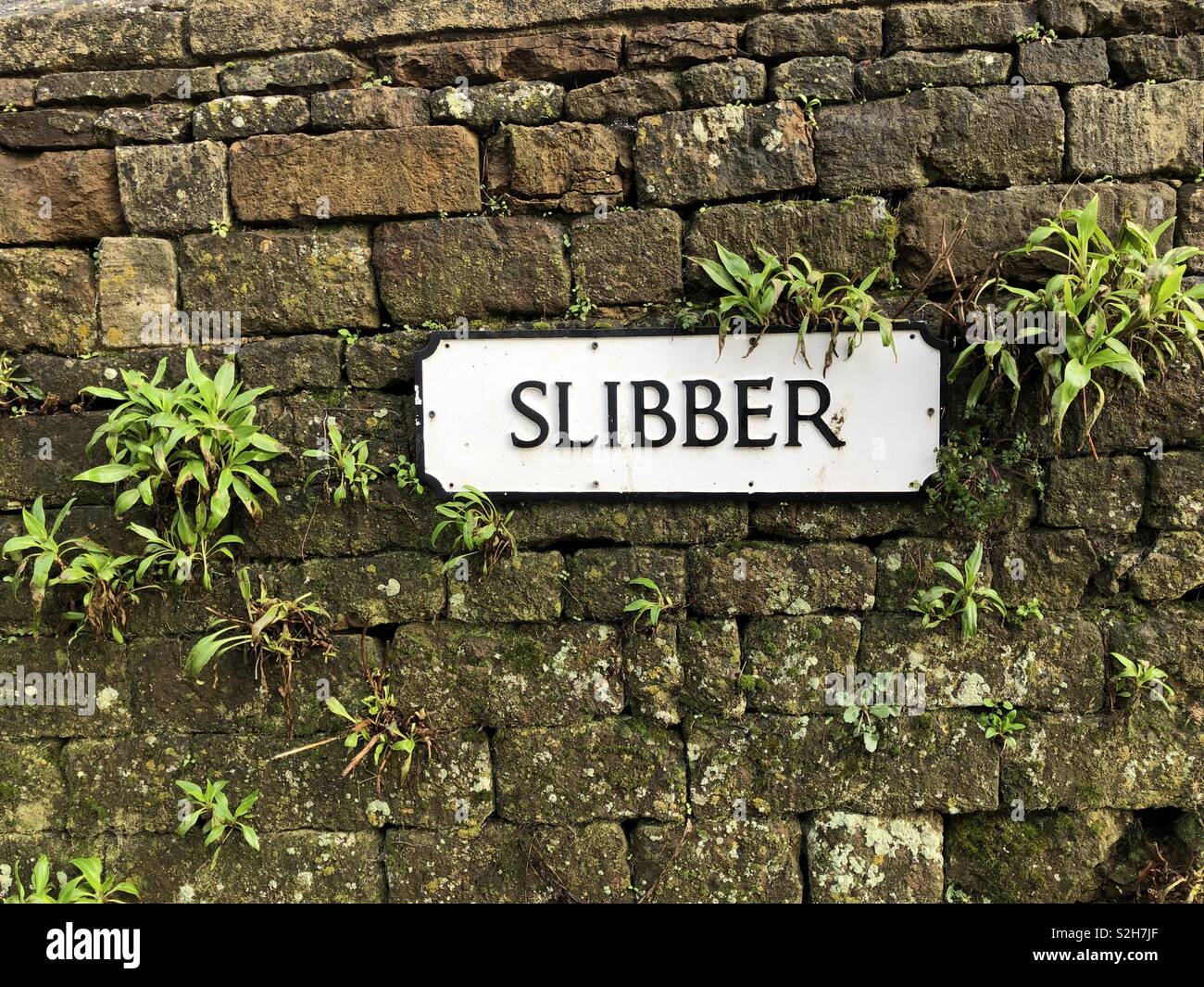 Interesting and quaint English street name fixed to a beautiful wall with ferns, outside South Newington Church, on a narrow sloping lane, therefore ‘Slibber’ = a slithery lane! - Smartphone Captured Stock Image