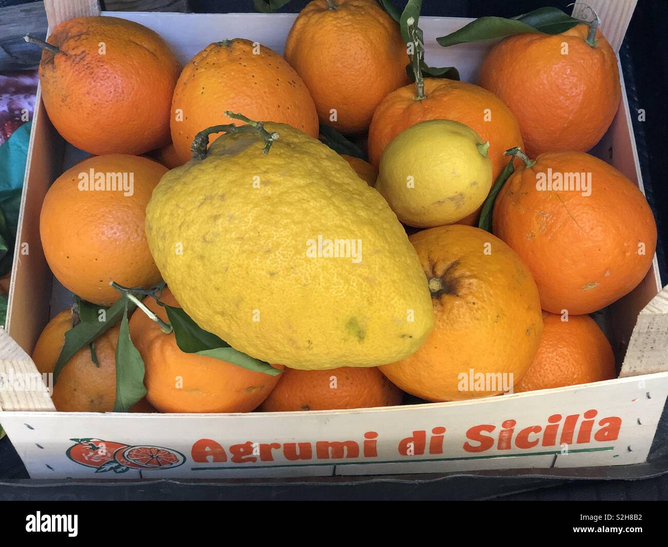 Citrus fruits from Sicil, wooden container with navel quality oranges, a lemon and a cedar - Smartphone Captured Stock Image