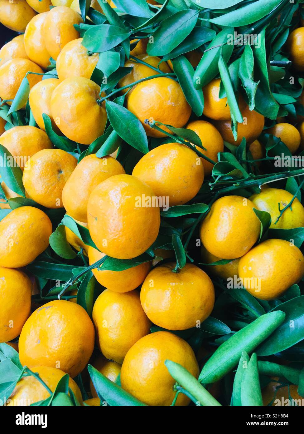 Bunches of mandarin oranges Stock Photo Alamy