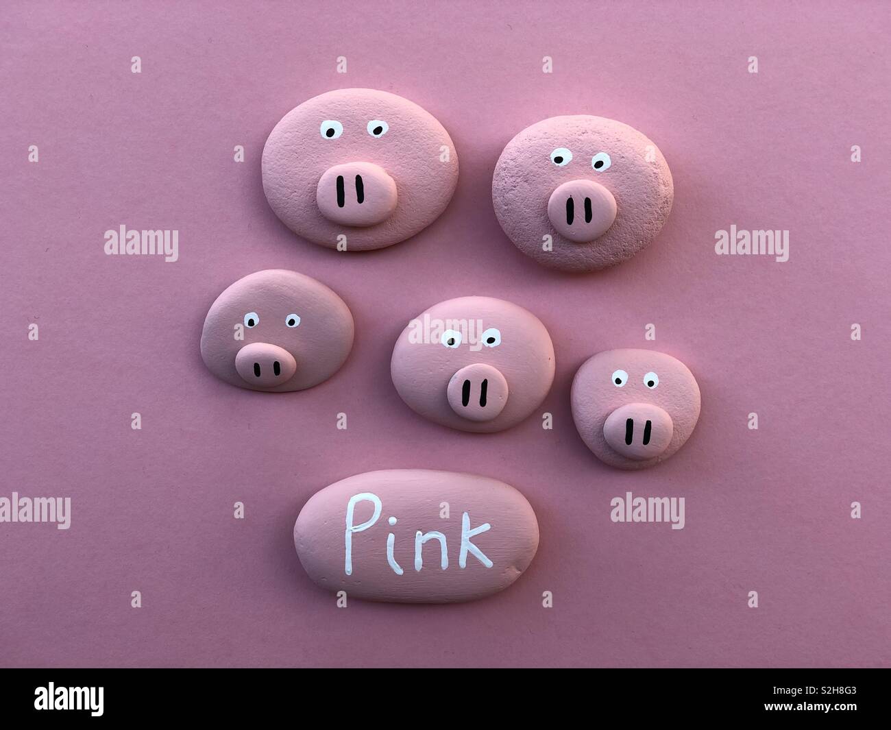 Pink pigs family, conceptual composition with stones Stock Photo