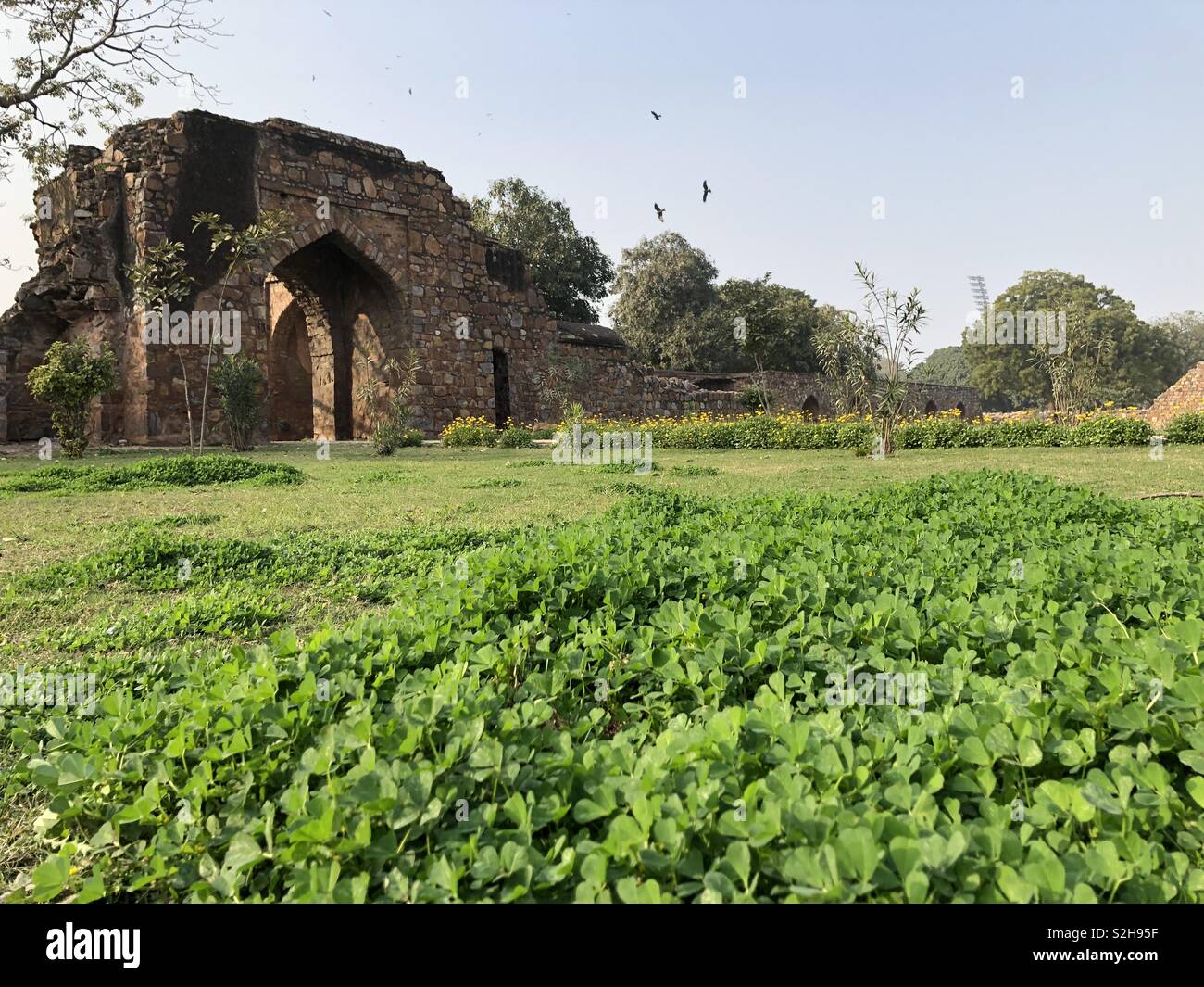 Beautiful Landscape of Feroz shah kotla fort compound in New Delhi,India Stock Photo
