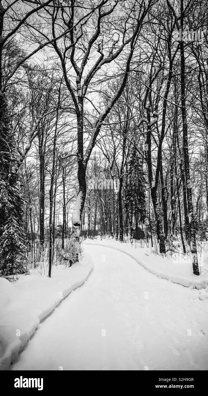 Black and white photo of my driveway in Northern Ontario Stock Photo