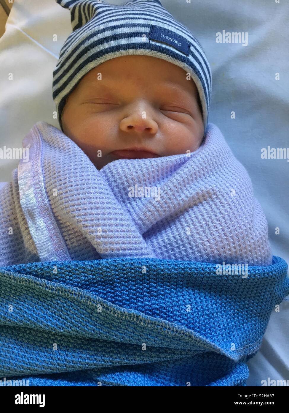 New born baby in swaddle Stock Photo Alamy