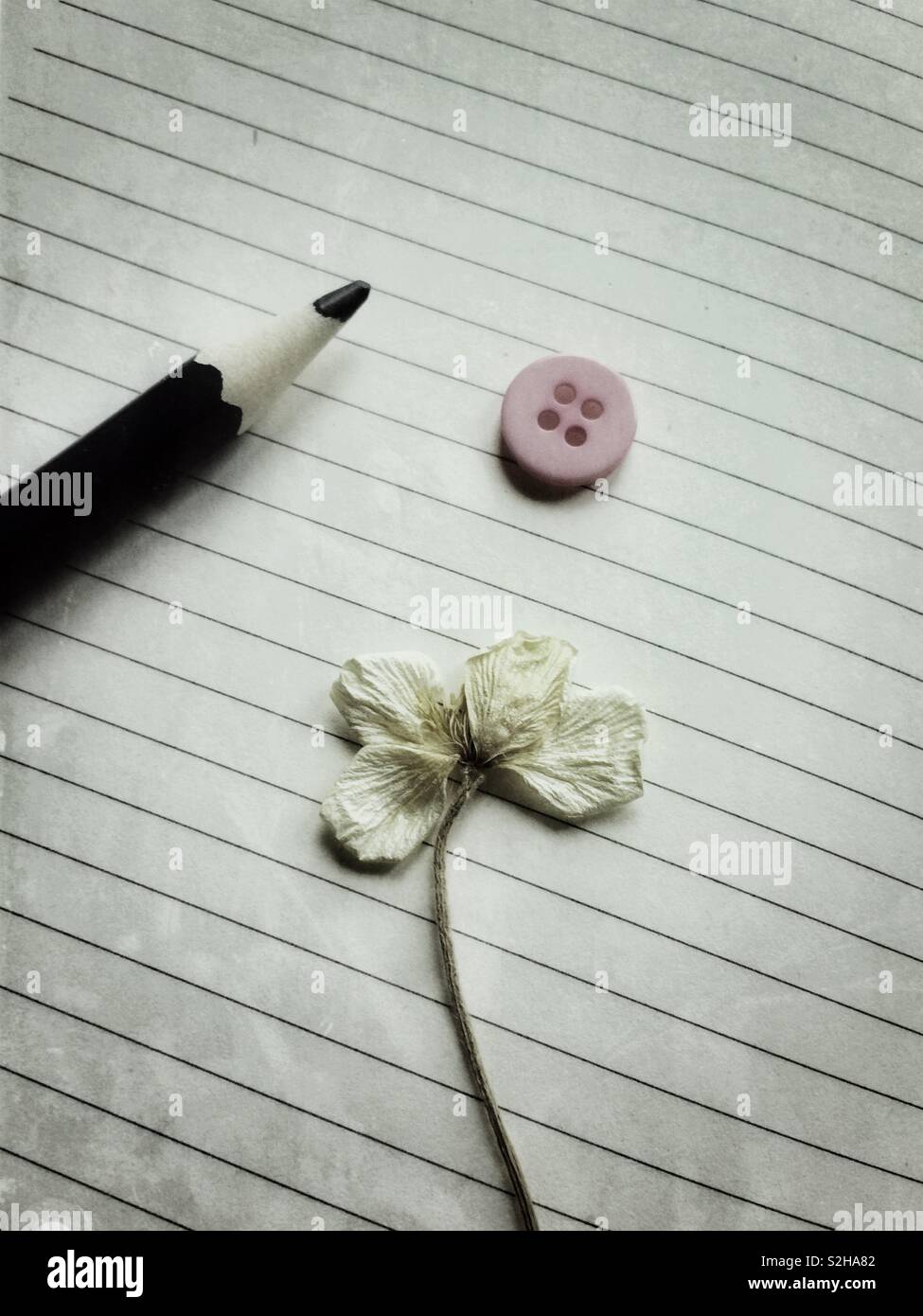 Still life with pencil dried flower and pink button on paper page with lines - Smartphone Captured Stock Image