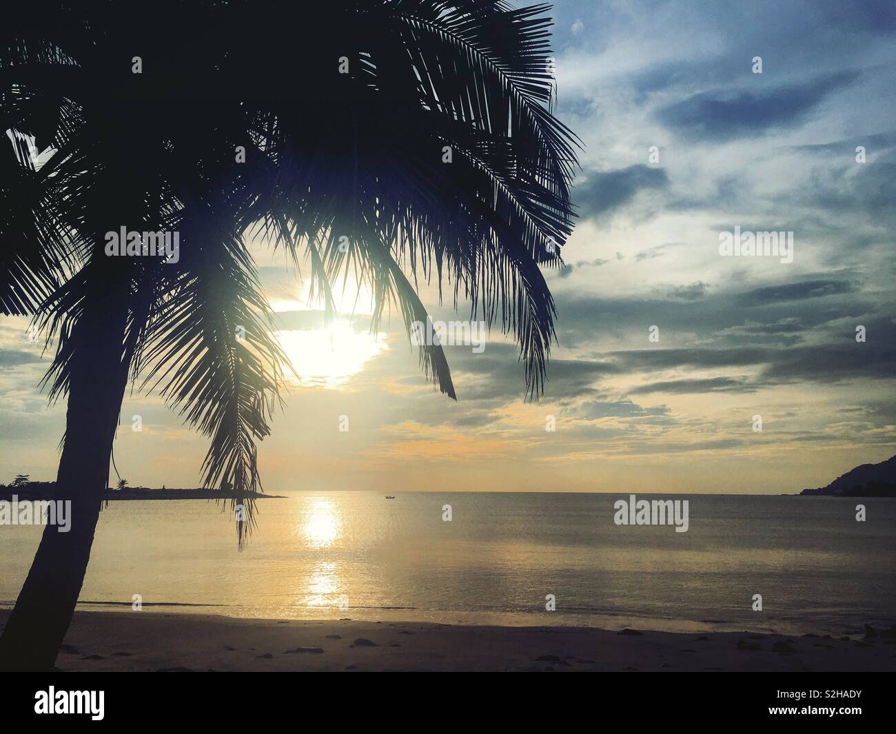 View of sunset with coconut palm tree at the beach, langkawi malaysia