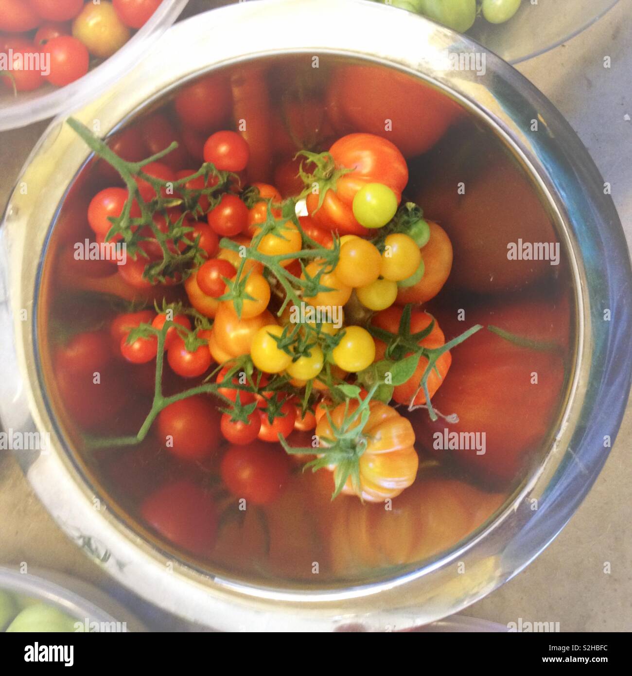 Stainless steel bowl of home grown garden tomatoes. Varying varieties