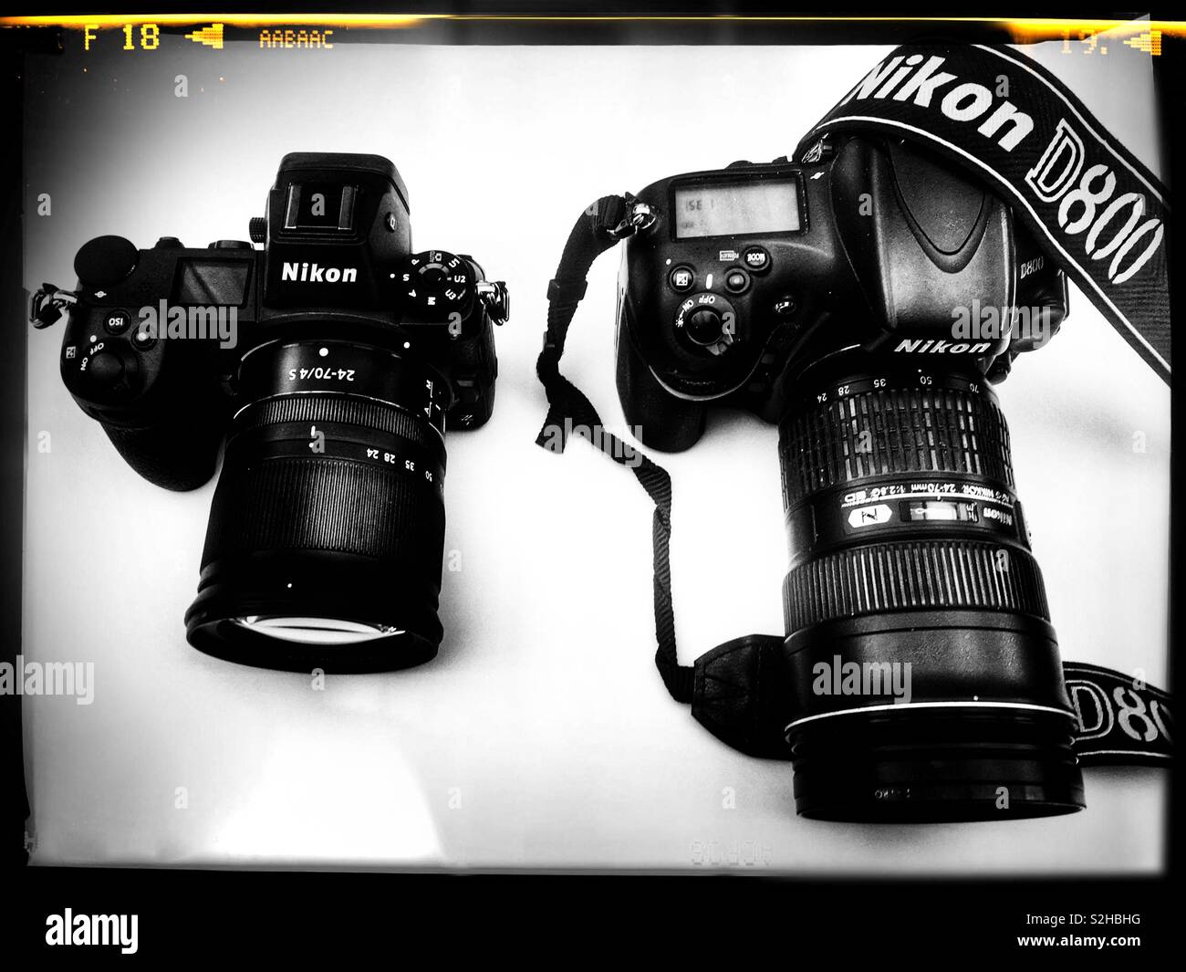 Nikon Z7 (mirrorless) Nikon D800 (DSLR) digital cameras Stock Photo